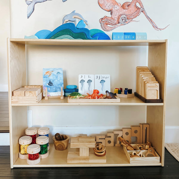 Sleekline 2-Shelf Double-Sided Storage Cabinet, 30" H